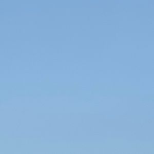 Meet your Posher, Kendall